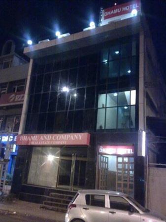 The Dhamu Hotel Dzsaipur Kültér fotó